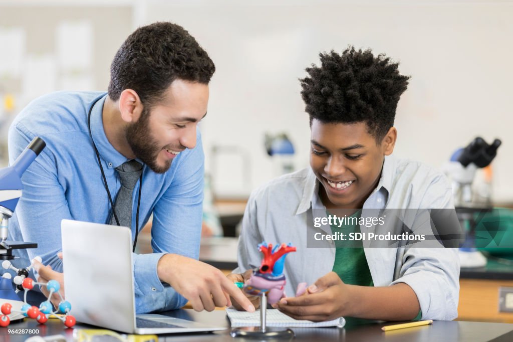 Schüler lernt über menschliche Herz