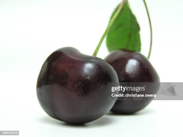 sweet cherries - zwerg stock pictures, royalty-free photos & images