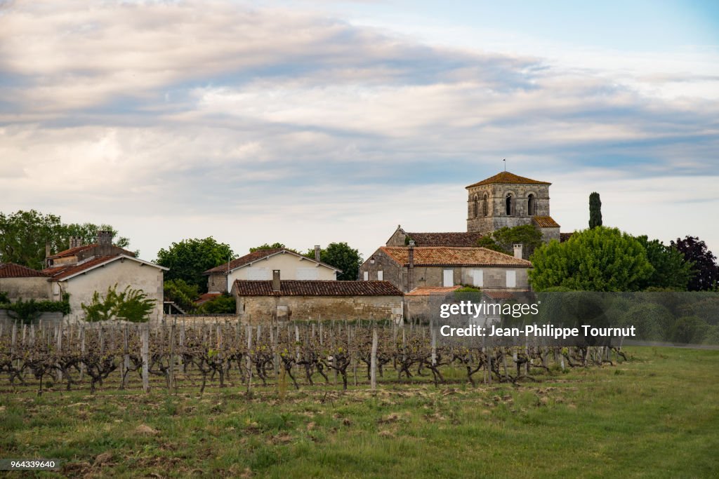 Graves, a village near Cognac, France