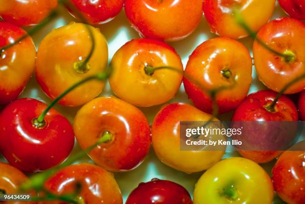 red and yellow cherries on a plate - ken ilio stock pictures, royalty-free photos & images