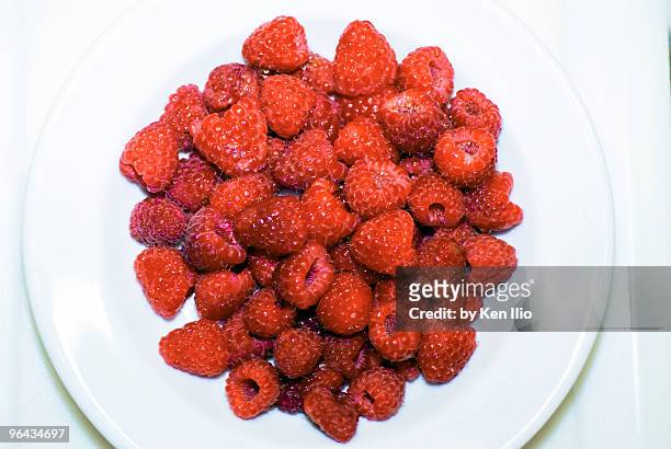raspberries on a white plate - ken ilio stock pictures, royalty-free photos & images