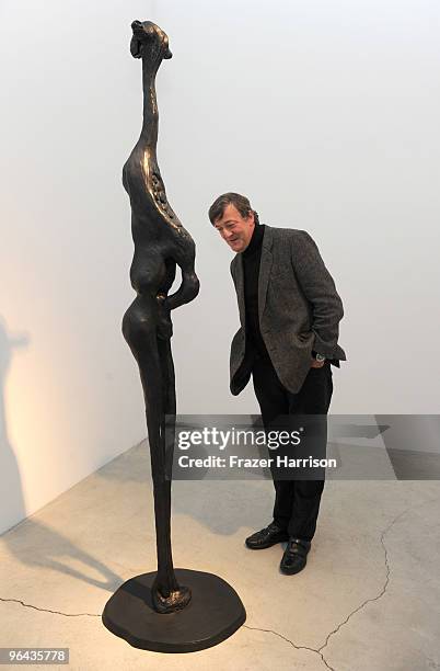 Actor Fried 377 Stephen Fried Stock Photos, High-Res Pictures, and Images - Getty ...