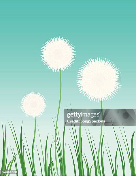 dandelions - spring allergies kids stock illustrations