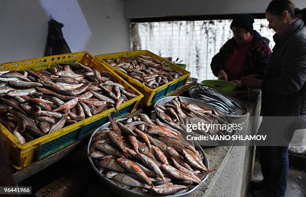 Georgian women sell red mullet fish at a market in the Georgian Black Sea port city of Batumi on January 14, 2010. Presidents and ministers of ten...