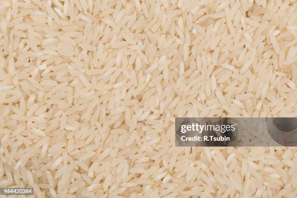 White Rice Rectangle Organic Rectangle Shape Photos and Premium High Res Pictures - Getty Images