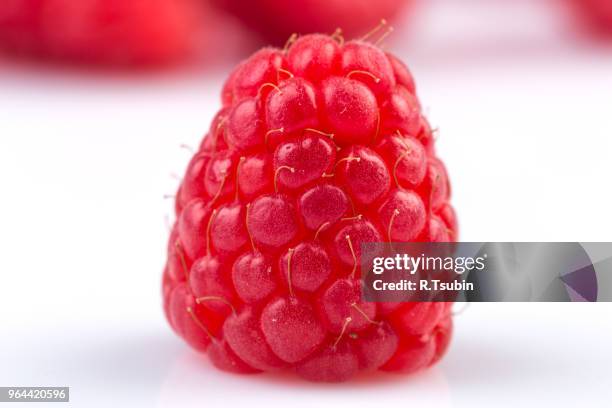 Teal White Raspberry 899 White Raspberry Stock Photos, High-Res Pictures, and Images - Getty ...