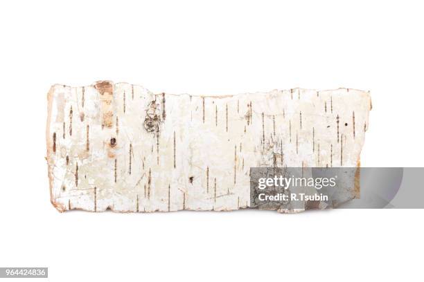 birch firewood tree log on white background - 樹皮 個照片及圖片檔