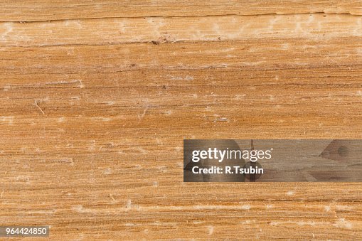 Fragment background of wooden texture for designers Fragment background of wooden texture for designers