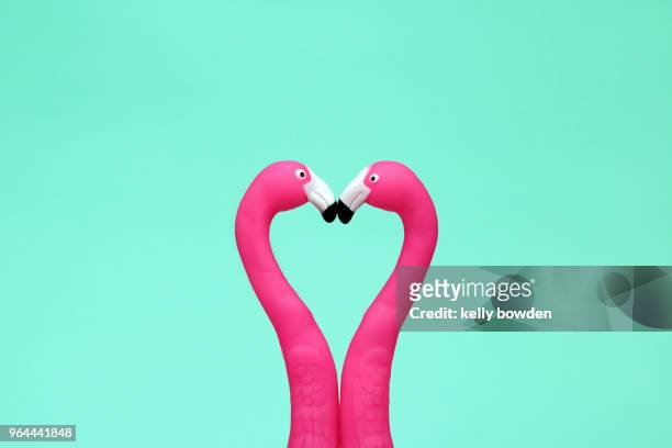 flamingo love heart friends kiss - bonding stock pictures, royalty-free photos & images