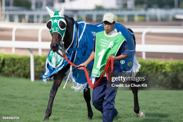 Pakistan Star wins Race 8 Standard Chartered Champions & Chater Cup at Sha Tin racecourse on May 27 , 2018 in Hong Kong.