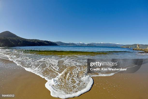 small wave lapping, white foam reaching up beach - westerskov stock pictures, royalty-free photos & images