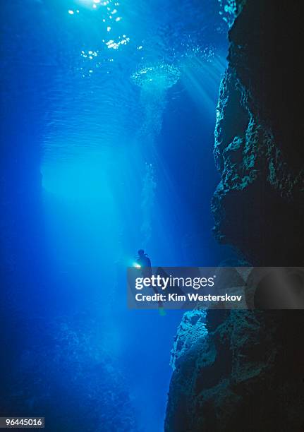 diver with light in large sea cave, underwater - westerskov stock pictures, royalty-free photos & images