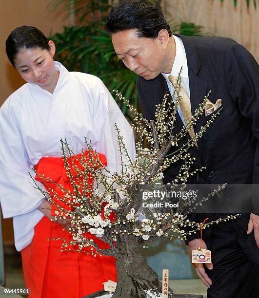 Japanese Prime Minister Yukio Hatoyama, center, admires plum blossoms with a "plum mission" shrine maiden, Yuko Kuramitsu, left, upon receiving a jar...