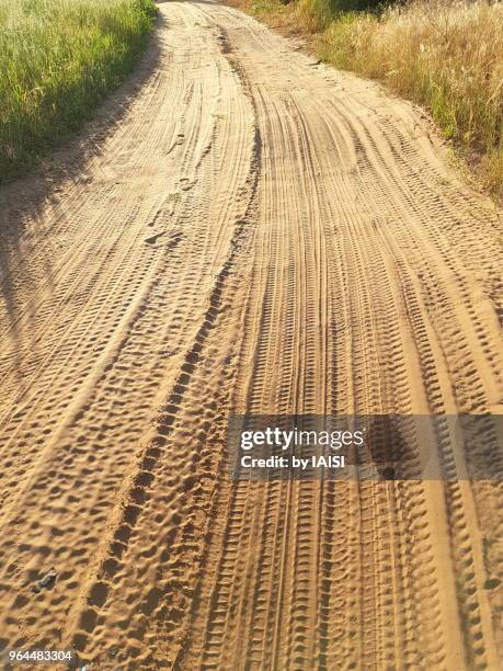 a dirt path in the plain of sharon - sharon plain stock pictures, royalty-free photos & images