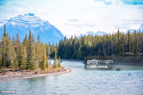 touristen, driften die jasper athabasca river im september - driften stock-fotos und bilder