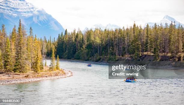 touristen, driften die jasper athabasca river im september - driften stock-fotos und bilder