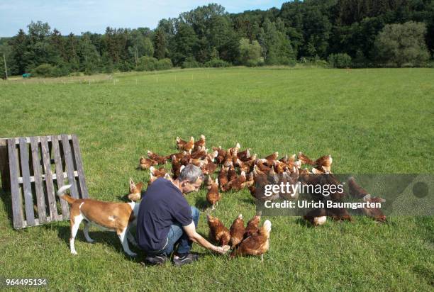 Farm in the Bergisches Land near Nuembrecht. The family run farm produces high quality organic eggs according to Naturland guidelines. The laying...