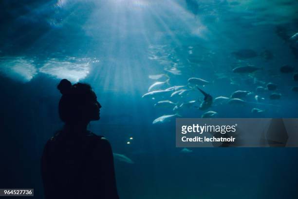mujer joven en busca de peces en el acuario - acuario fotografías e imágenes de stock