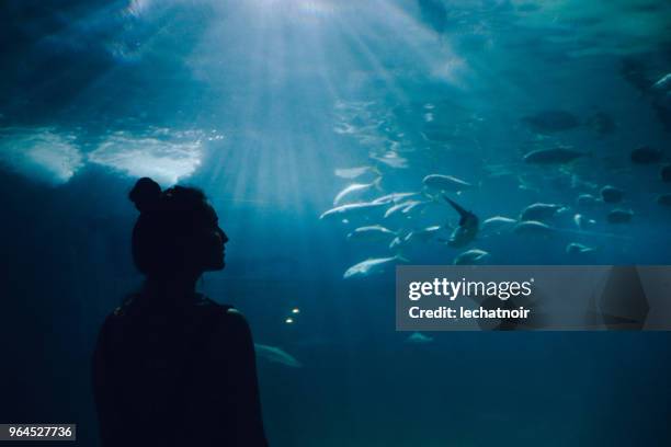 young woman looking at fish in the aquarium - in silhouette zoo animals stock pictures, royalty-free photos & images