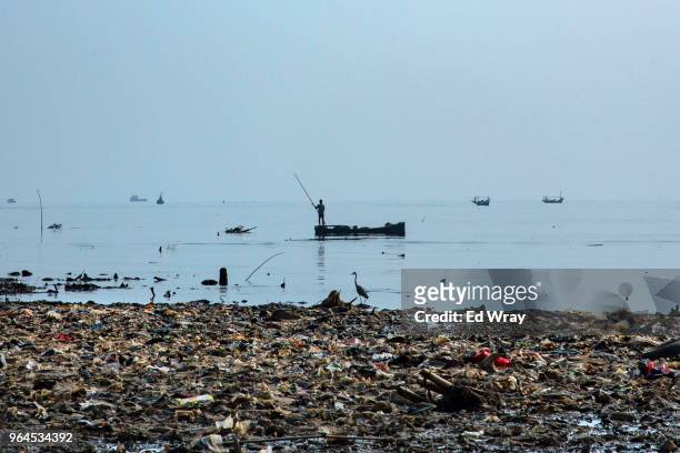 Heron and a man fish near the coast which has been inundated with plastic trash on the northern coast on May 31, 2018 in Jakarta, Indonesia....