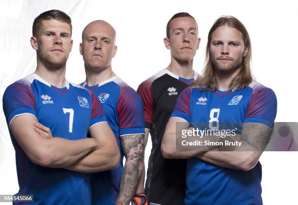 World Cup Preview: Portrait of Team Iceland Johann Berg Gudmundsson, Emil Hallfredsson, Hannes Thor Halldorsson, and Birkir Bjarnason posing during...