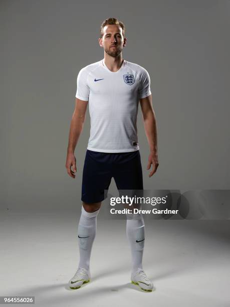 1 517 Harry Kane Portrait Stock Photos High Res Pictures And Images 1-517-harry-kane-portrait-stock-photos-high-res-pictures-and-images