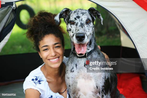young woman camping - person with dog looking at camera stock pictures, royalty-free photos & images