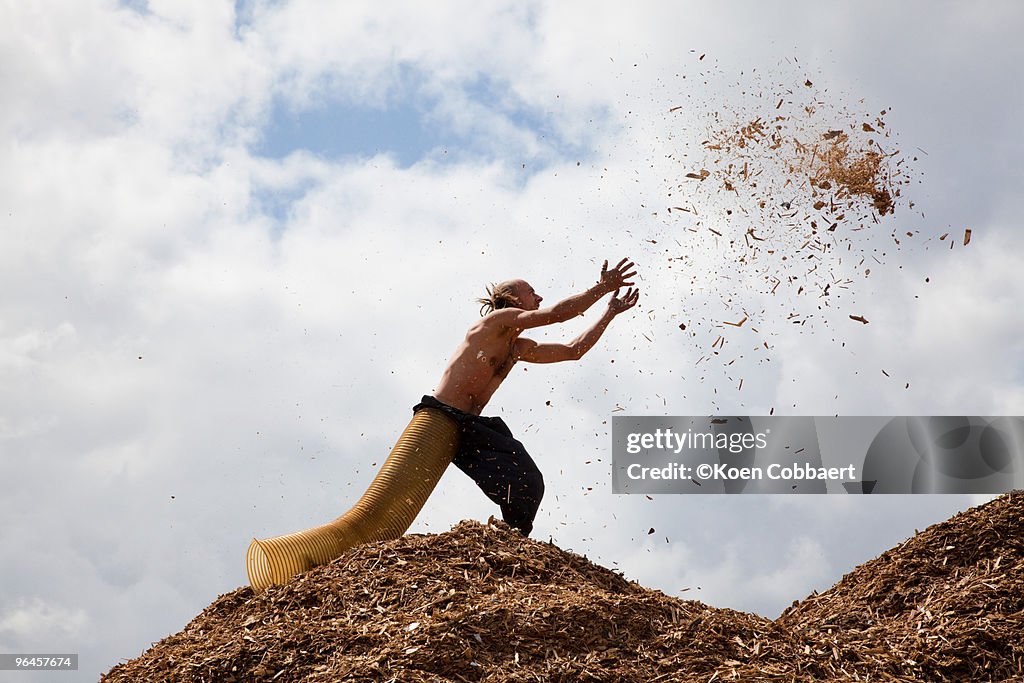 Wood chips