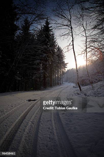 winter wonderland - tobias gaulke stock-fotos und bilder