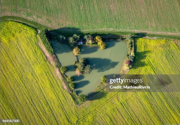 aerial view of river loire - indre et loire stock pictures, royalty-free photos & images