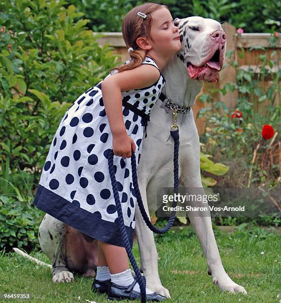girl hugging her black & white great dane - speckled sussex stock pictures, royalty-free photos & images