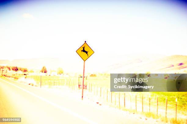 deer crossing sign along highway - deer crossing stock pictures, royalty-free photos & images