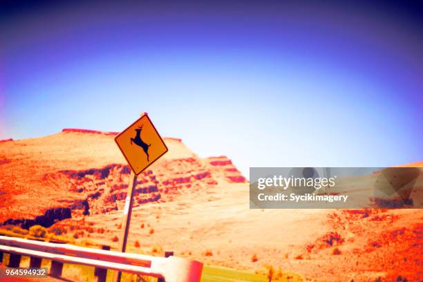 deer crossing sign along highway, rural scene - deer crossing stock pictures, royalty-free photos & images