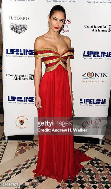 Former Miss Universe 2008 Dayana Mendoza attends the 2010 Princes Ball Mardi Gras Masquerade Gala at Cipriani 42nd Street on February 5, 2010 in New...
