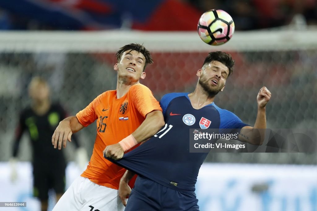 International friendly match"Slovakia v The Netherlands"