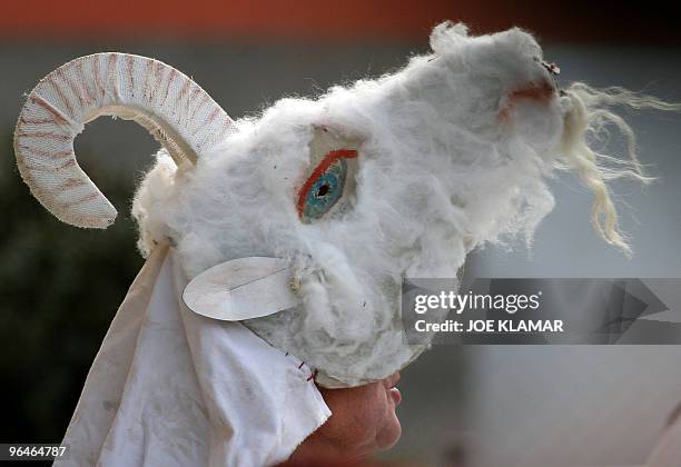 Masked Goat 817 Goat Mask Stock Photos, High-Res Pictures, and Images - Getty Images