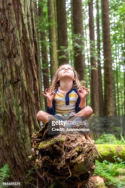 little girl meditating at the woods - kids meditating stock pictures, royalty-free photos & images