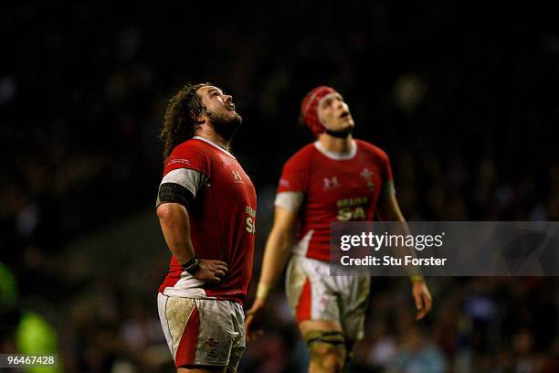 Disconsolate Look 781 Adam Jones Wales Stock Photos, High-Res Pictures, and Images ...