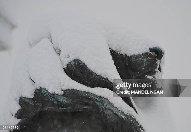 Snow covered statue of a lion at the Ulysses S. Grant Memorial is seen near Capitol Hill February 6, 2010 in Washington, DC. A huge blizzard dumped a...