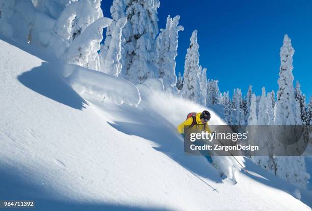 polvo de esquí  - powder snow fotografías e imágenes de stock