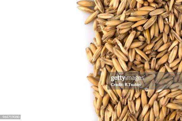 pile of organic oat grains isolated on white background - 茶粥 ストックフォトと画像