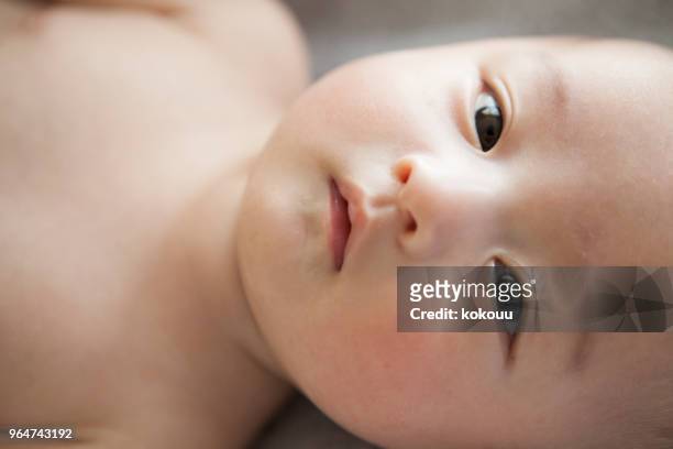 baby's face. - baby face stock pictures, royalty-free photos & images