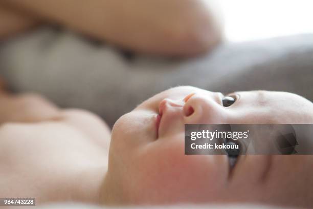 baby's face. - baby face stock pictures, royalty-free photos & images