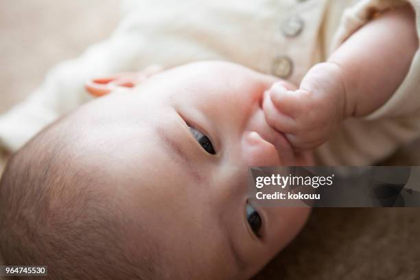 baby's face. - baby face stock pictures, royalty-free photos & images