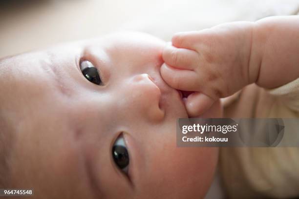 baby's face. - baby face stock pictures, royalty-free photos & images