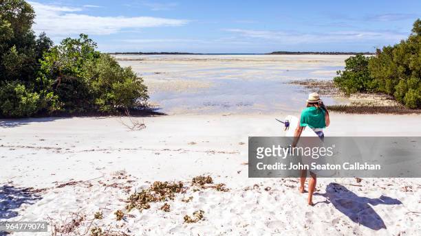 mozambique, mossuril district - mozambique beach stock pictures, royalty-free photos & images