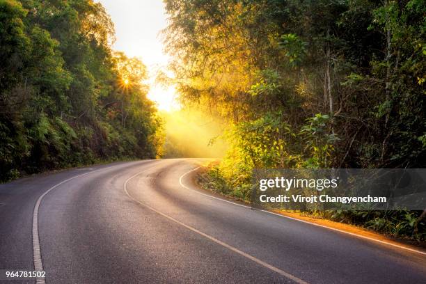 country road - sunny forest stock pictures, royalty-free photos & images