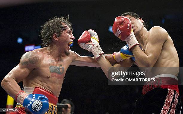 World Boxing Council World Champion of the Lightweight division Edwin Valero from Venezuela, throws a punch during his fight against interim champion...