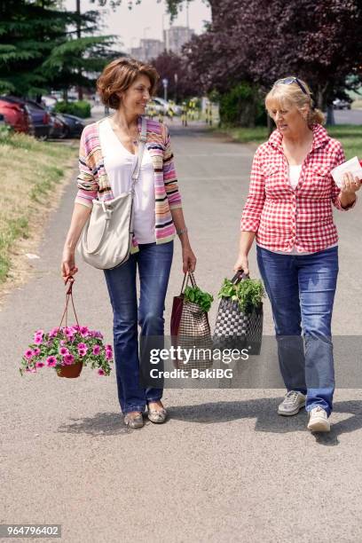 senior vriendinnen boodschappen te doen - bakibg stockfoto's en -beelden