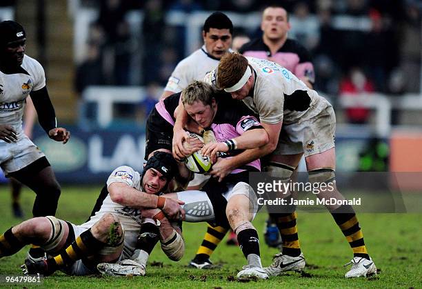 Alex Tait of Newcastle is tackled by Hugo Ellis and Marty Veale of Wasps during the LV Anglo Welsh Cup match between Newcastle Falcons and London...